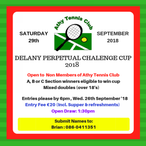 Delaney Cup poster 208